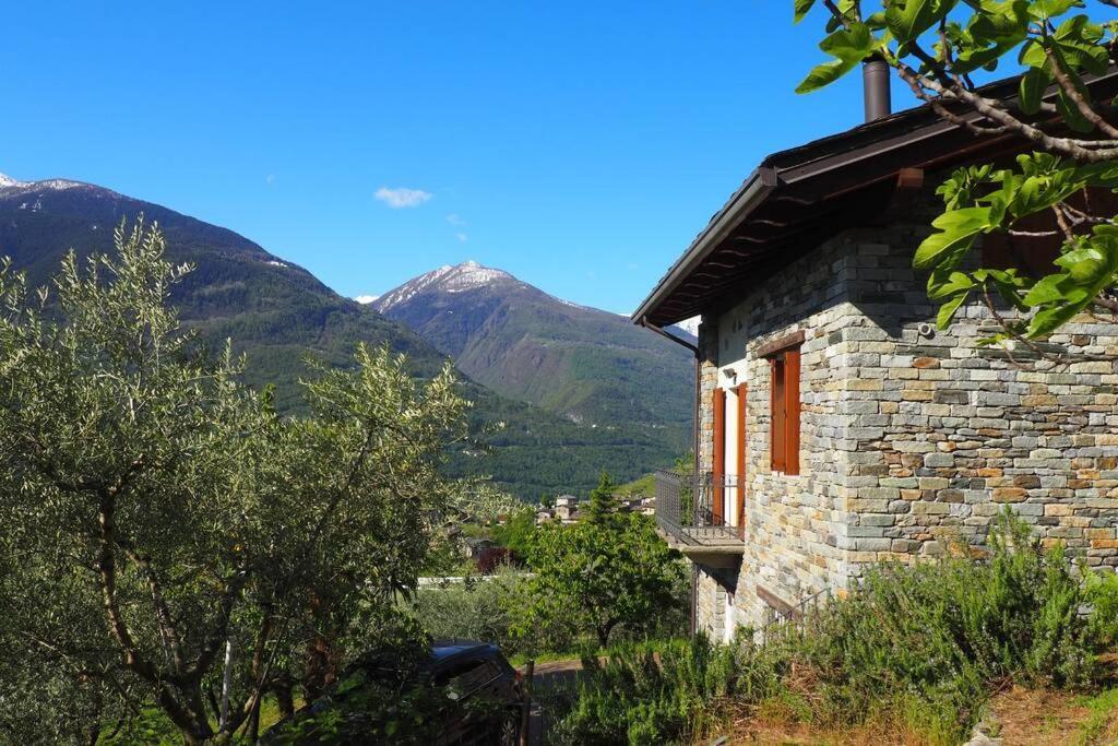 Fantastica Villa Fra Le Alpi Valtellinesi Tresivio Exterior foto