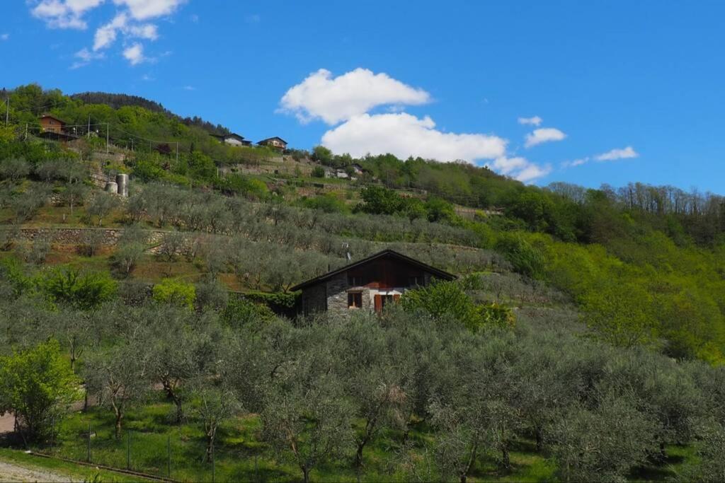 Fantastica Villa Fra Le Alpi Valtellinesi Tresivio Exterior foto